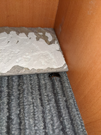 Honda Dealer «Kelly Honda», reviews and photos, 540 Lynnway, Lynn, MA 01905, USA