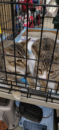 Pet Supply Store «Unleashed by Petco», reviews and photos, 81 7th Ave, Brooklyn, NY 11217, USA