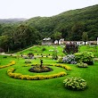 Walled Victorian Garden