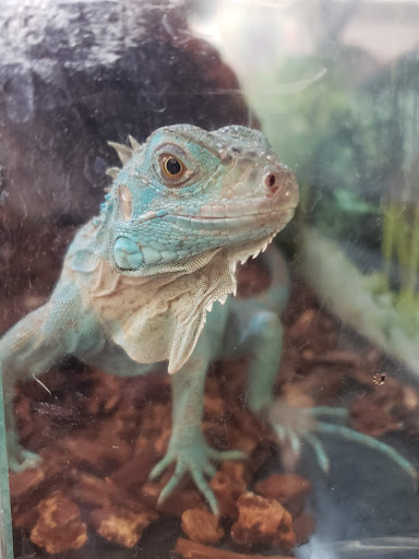 Pet Supply Store «Petco Animal Supplies», reviews and photos, 1014 Glenbrook Way, Hendersonville, TN 37075, USA