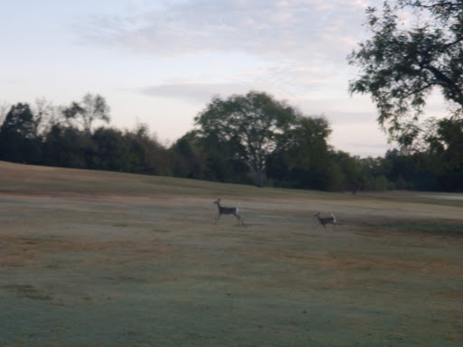Golf Course «Va Golf Course», reviews and photos, 3400 Lebanon Rd, Murfreesboro, TN 37129, USA