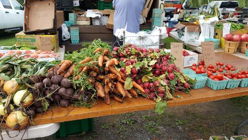 Flea Market «East Avon Flea Market», reviews and photos, 1520 W Henrietta Rd, Avon, NY 14414, USA