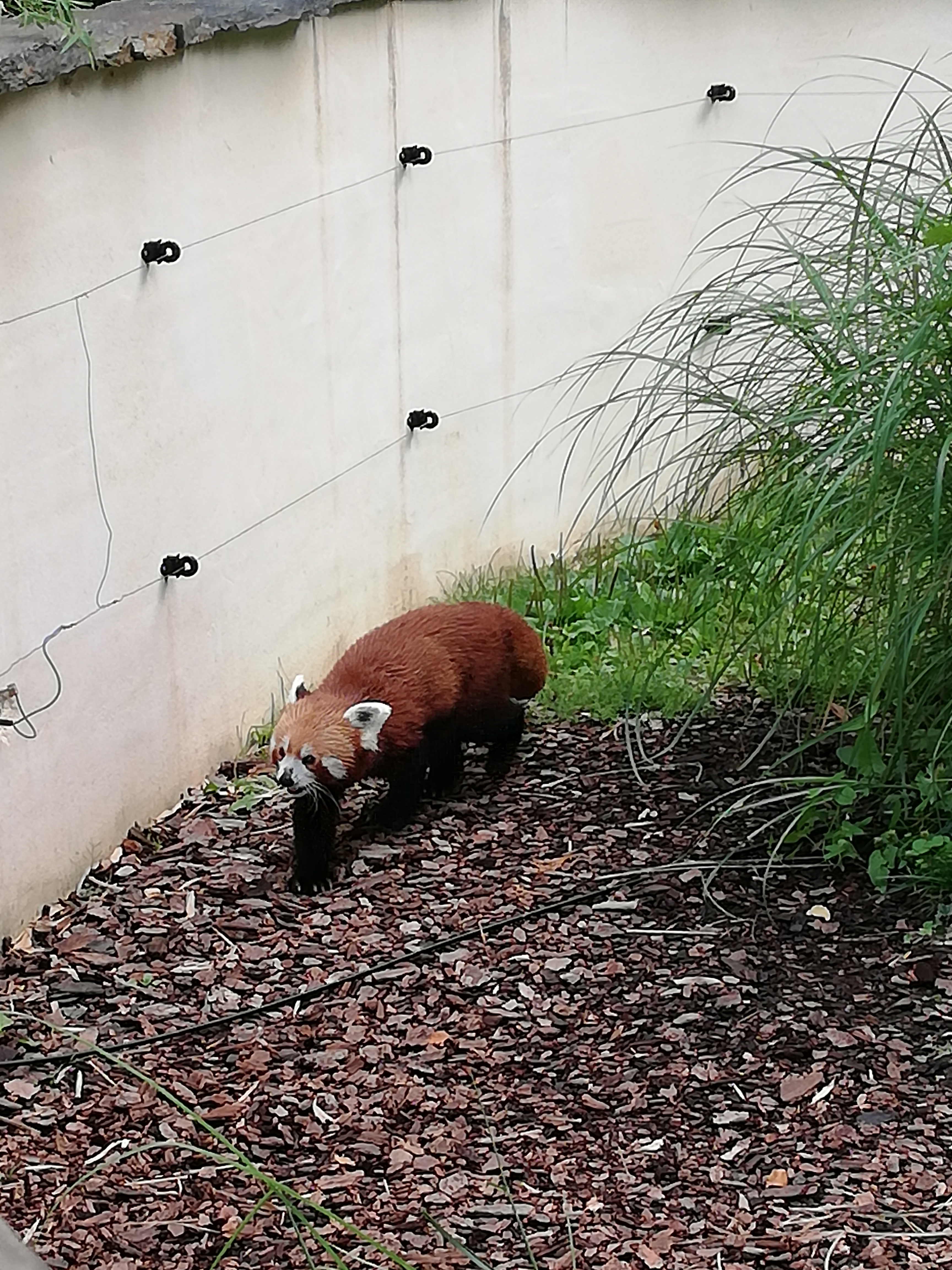Photo n° 4 de l'avis de Emilie.i fait le 13/08/2020 à 15:47