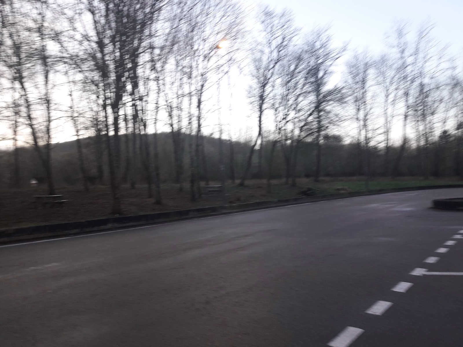 Photo n° 4 de l'avis de El.e fait le 03/03/2020 à 06:20
