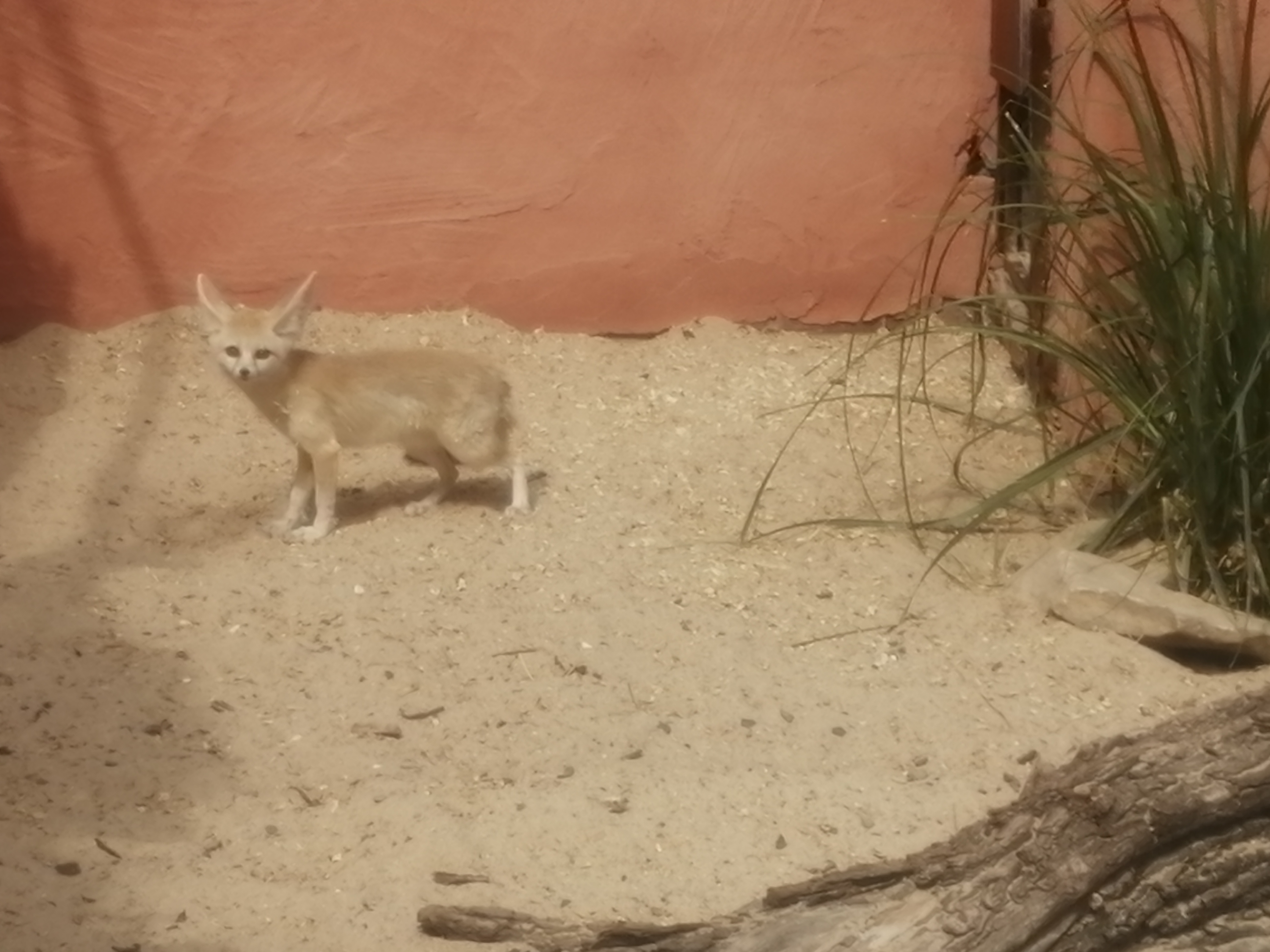 Photo n° 10 de l'avis de Paul.o fait le 08/08/2020 à 16:49