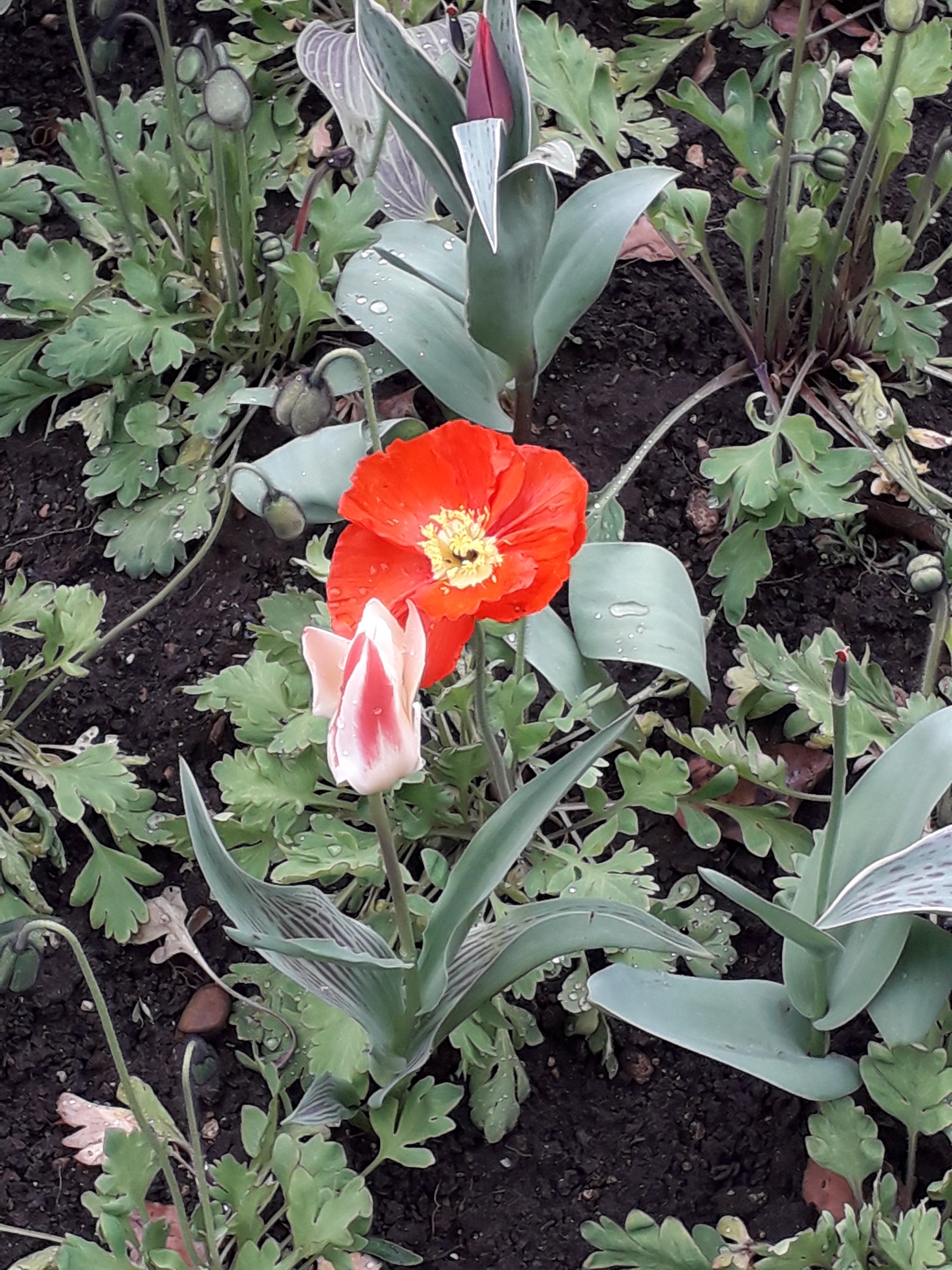 Photo n° 6 de l'avis de Leila.i fait le 09/04/2019 à 15:35