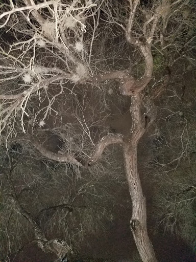 Park «John James Park», reviews and photos, 3910 Rittiman Rd, San Antonio, TX 78234, USA