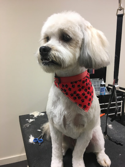 The Pet Groomers