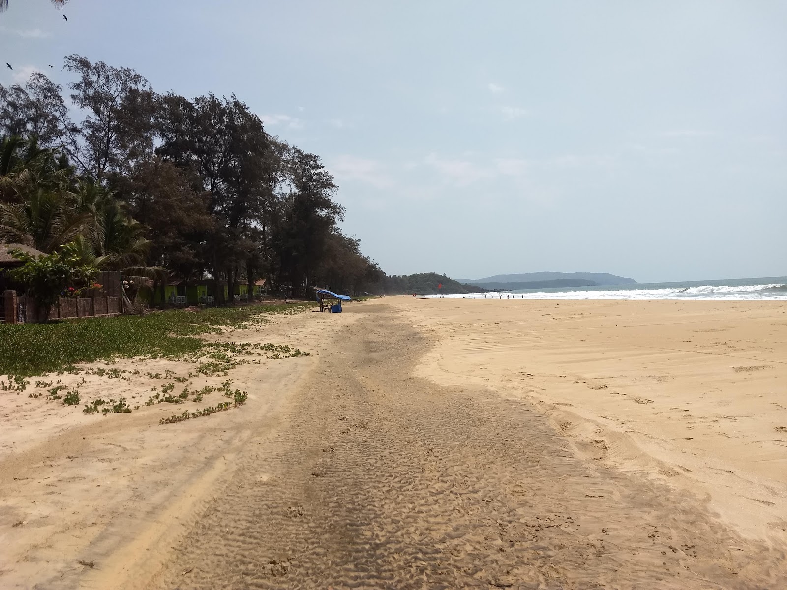 Talpona Beach'in fotoğrafı çok temiz temizlik seviyesi ile