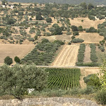 Photo n°3 de l'avis de Ivan.e fait le 02/07/2022 à 07:26 sur le  Locanda Gulfi à Chiaramonte Gulfi