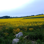 Photo n°3 de l'avis de Randolph.a fait le 21/05/2022 à 17:17 sur le  Aparthotel Königslinie - Rösing Touristik GmbH à Sassnitz