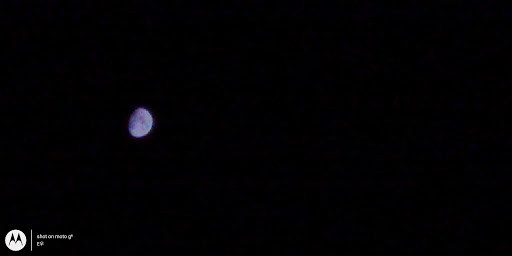 Self-Storage Facility «Pro-Guard Self Storage», reviews and photos, 20554 Little Valley Rd NE, Poulsbo, WA 98370, USA