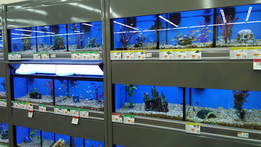 Pet Supply Store «Pet Supplies Plus», reviews and photos, 2801 Wade Hampton Blvd #100, Taylors, SC 29687, USA