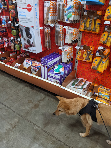 Pet Supply Store «PetSmart», reviews and photos, 100 108th Ave NE, Bellevue, WA 98004, USA