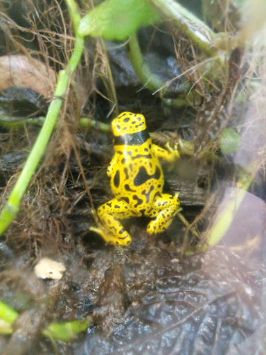 Aquarium «Aquarium Specialties & Research Center», reviews and photos, 235 Lancaster Ave, Malvern, PA 19355, USA