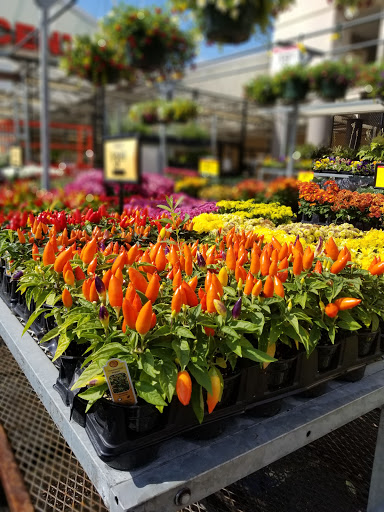 Grocery Store «Fred Meyer», reviews and photos, 11565 SW Pacific Hwy, Tigard, OR 97223, USA