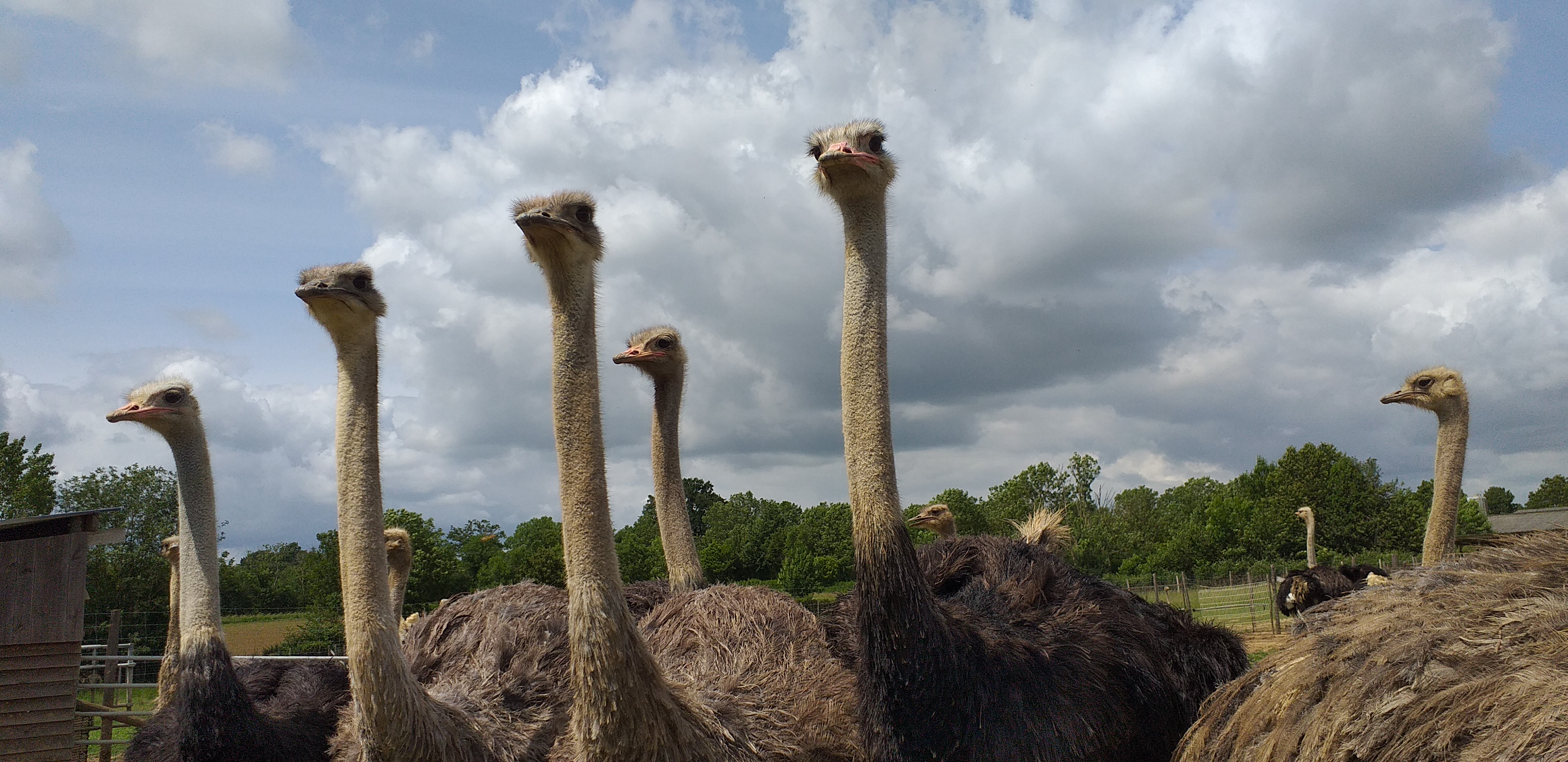 Photo n° 4 de l'avis de fanny79000. fait le 08/06/2019 à 18:43