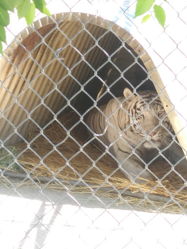 Zoo «Sierra Safari Zoo», reviews and photos, 10200 N Virginia St, Reno, NV 89506, USA