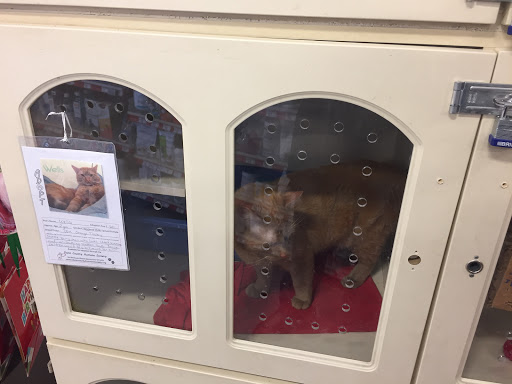 Pet Supply Store «Petco Animal Supplies», reviews and photos, 3731 Gateway Dr, Eau Claire, WI 54701, USA