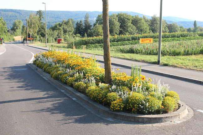 Rezensionen über Fröhlich Thomas Landschaftsgärtnerei AG in Reinach - Gartenbauer