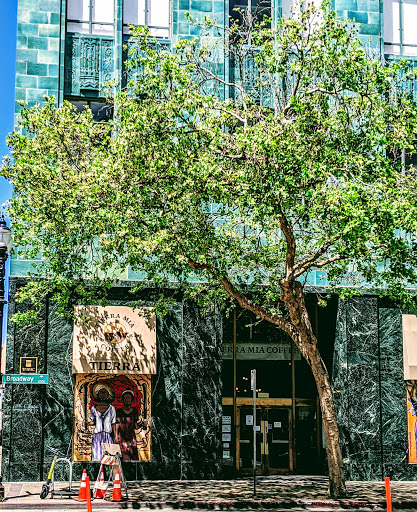 Tierra Mia Coffee image