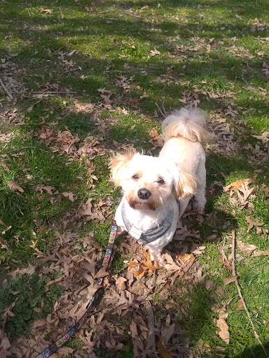 Historical Place «Fort Howard Park», reviews and photos, 9500 North Point Rd, Fort Howard, MD 21052, USA