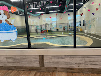 Pet Paradise Cedar Park - Photo 3 - Car repair in Cedar Park, TX, Round Rock