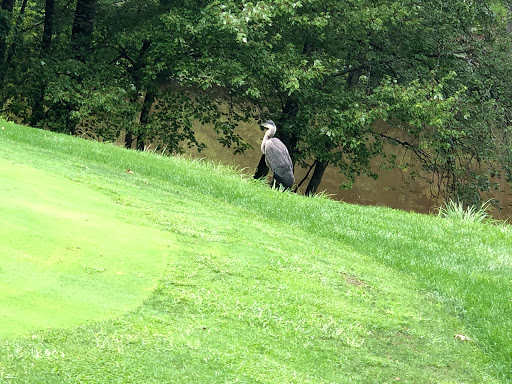 Golf Course «Gunpowder Golf Course», reviews and photos, 14300 Old Gunpowder Rd, Laurel, MD 20707, USA