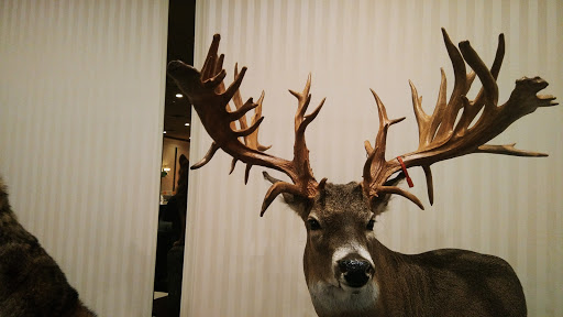 Banquet Hall «Mirage Elegant Banquet & Catering», reviews and photos, 16980 18 Mile Rd, Charter Twp of Clinton, MI 48038, USA