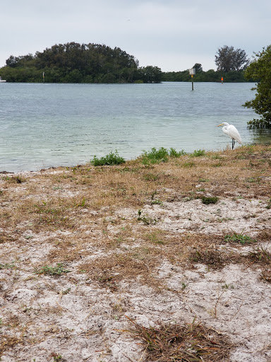 Bait Shop «J & J Bait and Tackle Outfitters II», reviews and photos, 1234 Baillies Bluff Road, Holiday, FL 34691, USA