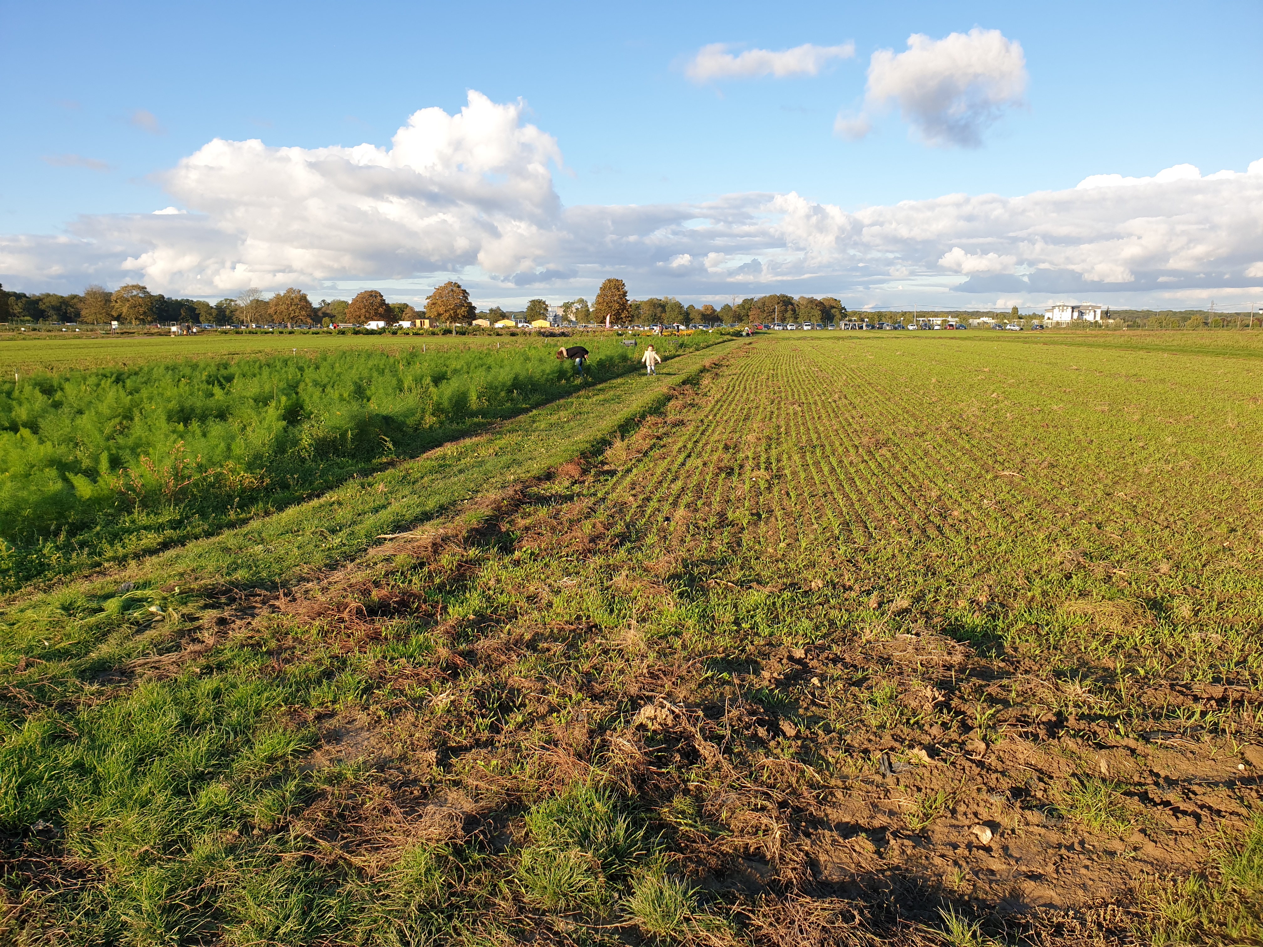 Photo n° 1 de l'avis de Wiem.R fait le 17/10/2020 à 17:00