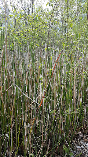 Park «Founders Park», reviews and photos, 11675 Hazel Dell Pkwy, Carmel, IN 46033, USA