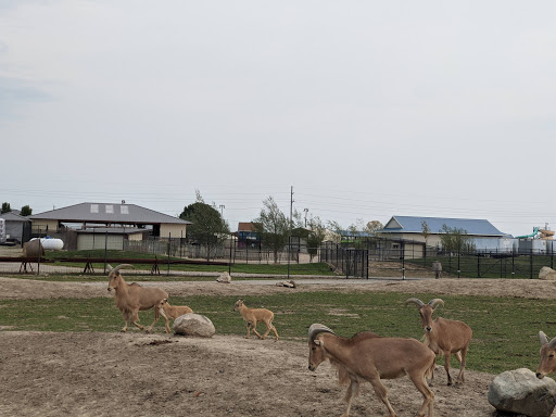 Water Park «Monsoon Lagoon Watering Hole Safari & Waterpark», reviews and photos, 1530 S Danbury Rd, Port Clinton, OH 43452, USA