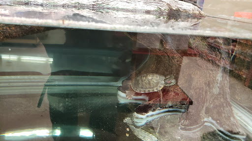 Pet Supply Store «Petco Animal Supplies», reviews and photos, 801 W Lake Ave, Peoria, IL 61614, USA