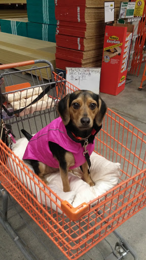 Home Improvement Store «The Home Depot», reviews and photos, 4121 U.S. 78, Lilburn, GA 30047, USA