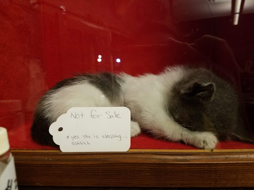 Art Gallery «Dysfunctional Grace Art Co», reviews and photos, 1903 E 7th Ave, Tampa, FL 33605, USA