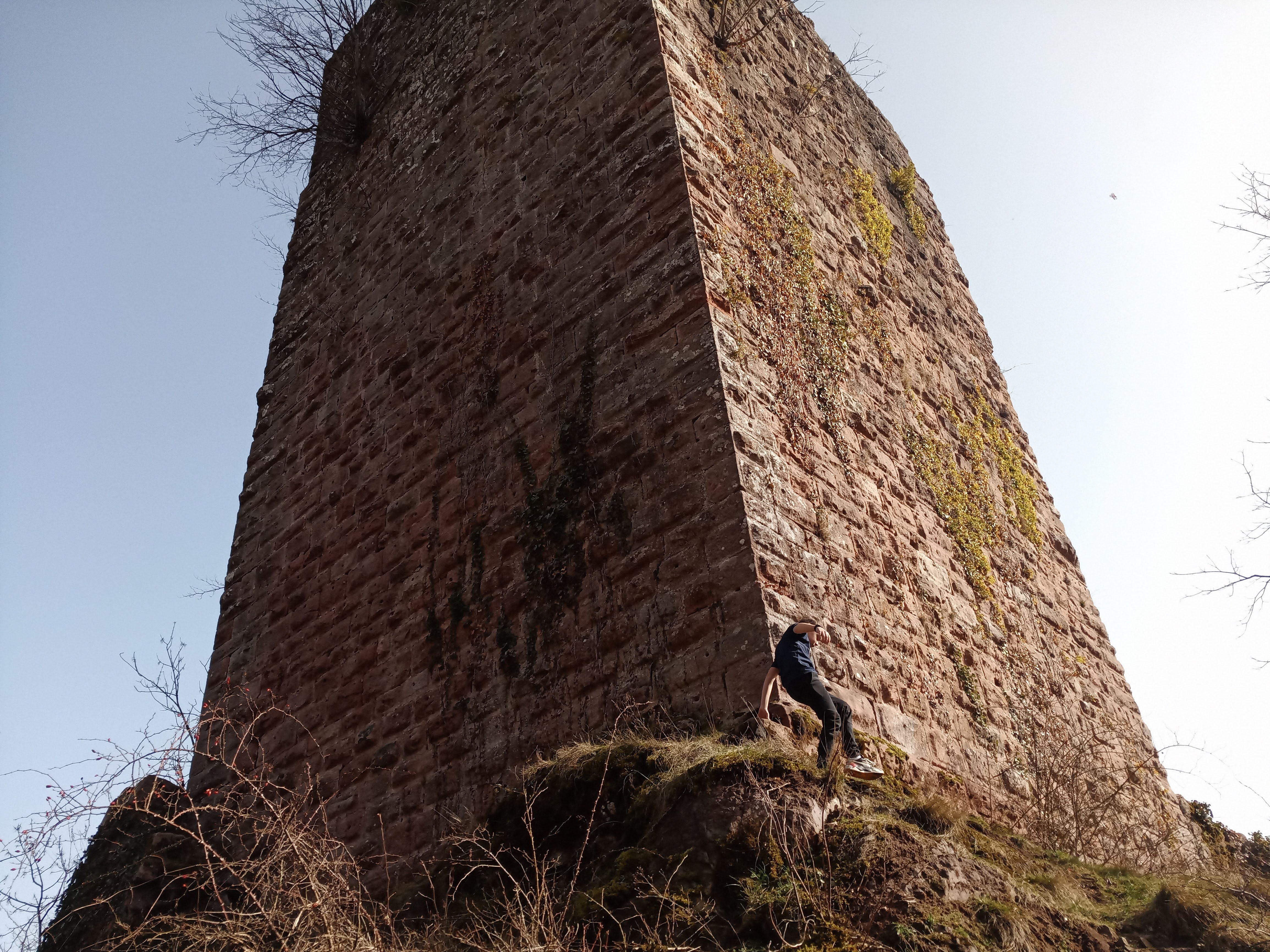 Photo n° 3 de l'avis de Regis.l fait le 26/02/2021 à 16:05