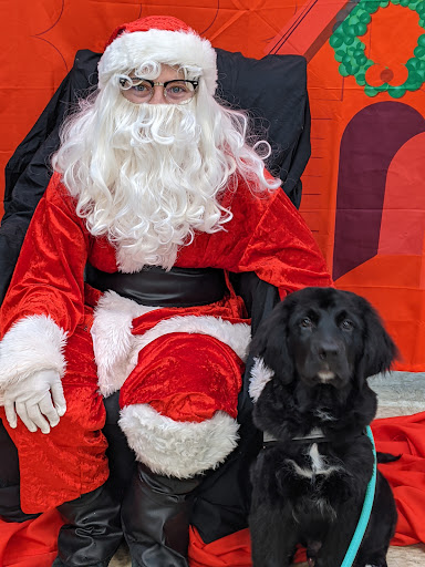 Pet Supply Store «PetSmart», reviews and photos, 4327 Genesee Valley Plaza, Geneseo, NY 14454, USA