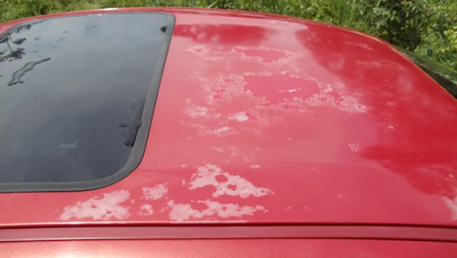 Auto Body Shop «East Coast Auto Plaza - Body Shop», reviews and photos, 85-17 68th Rd, Rego Park, NY 11374, USA