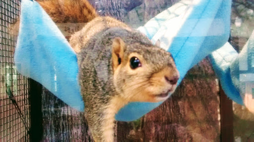 Nature Preserve «River Trail Nature Center», reviews and photos, 3120 Milwaukee Ave, Northbrook, IL 60062, USA