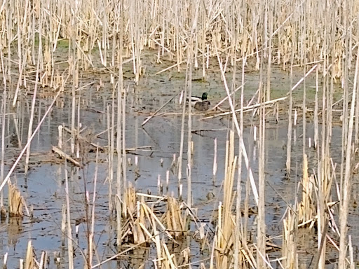 Nature Preserve «Kishwauketoe Nature Conservancy», reviews and photos, 251 Elkhorn Rd, Williams Bay, WI 53191, USA