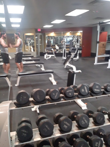 Gym «Century Fitness», reviews and photos, 491 N Main St # 1, East Longmeadow, MA 01028, USA