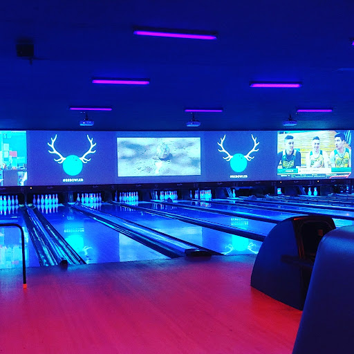 Bowling Alley «AMF Park Lanes», reviews and photos, 900 Axtell Dr, Cayce, SC 29033, USA