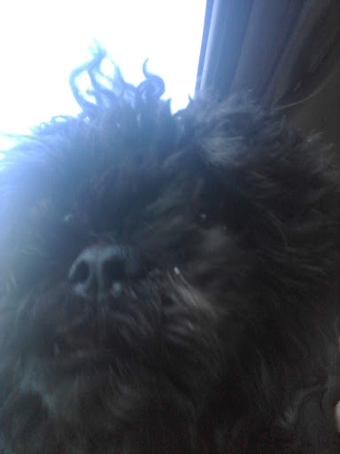 Auto Parts Store «NAPA Auto Parts - Fln Auto Parts», reviews and photos, 656 Lake St S, Forest Lake, MN 55025, USA