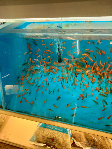 Pet Supply Store «PetSmart», reviews and photos, 1386 Atwood Ave, Johnston, RI 02919, USA