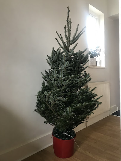 Christmas Trees Delivered