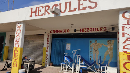 GIMNASIO HERCULES