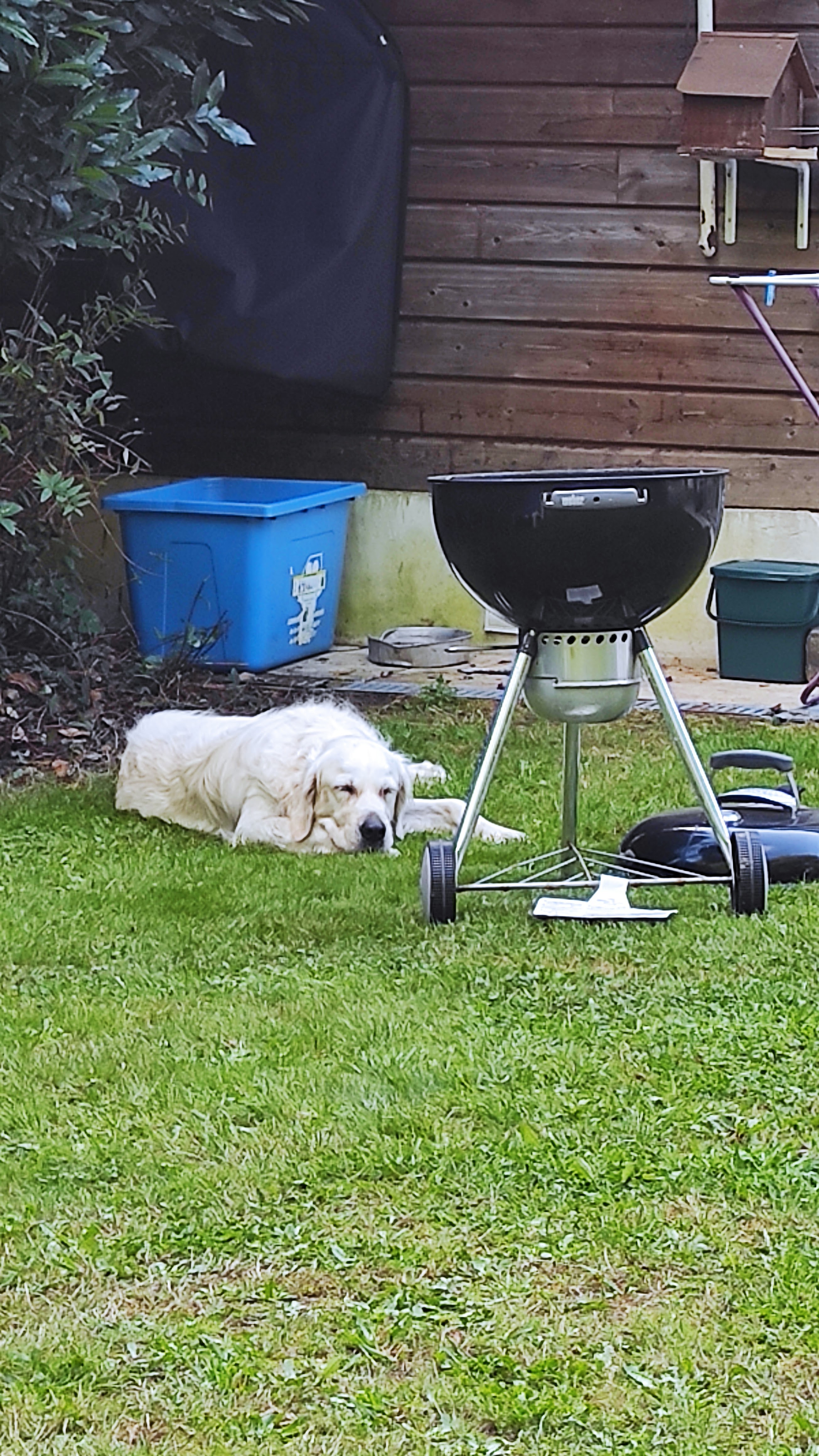 Photo n° 1 de l'avis de Sandra.r fait le 24/08/2023 à 08:04