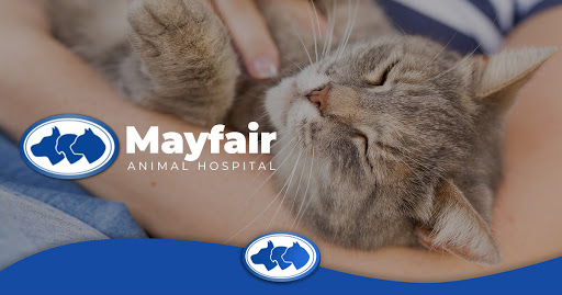 Mayfair Animal Hospital