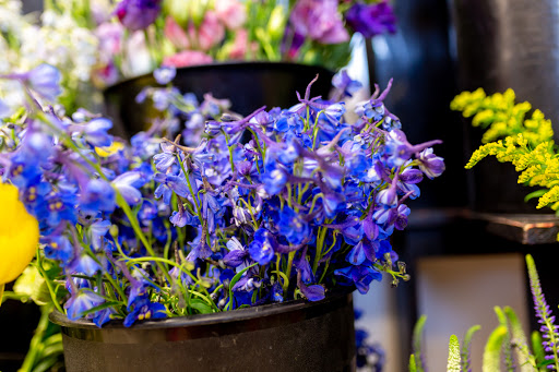 Florist «Mainstreet Flower Market», reviews and photos, 19555 Mainstreet a, Parker, CO 80138, USA